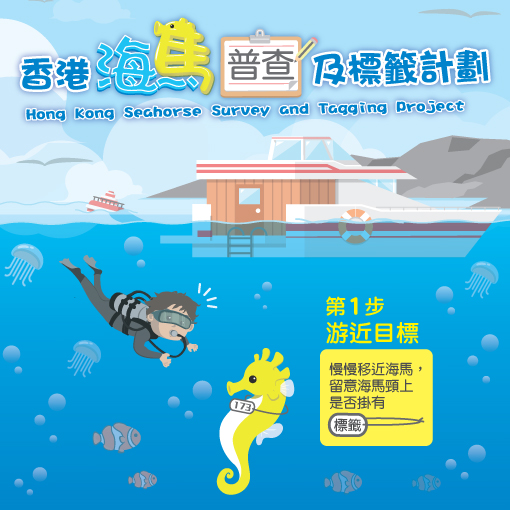 Hong Kong Seahorse Survey and Conservation Infographics « Our Work